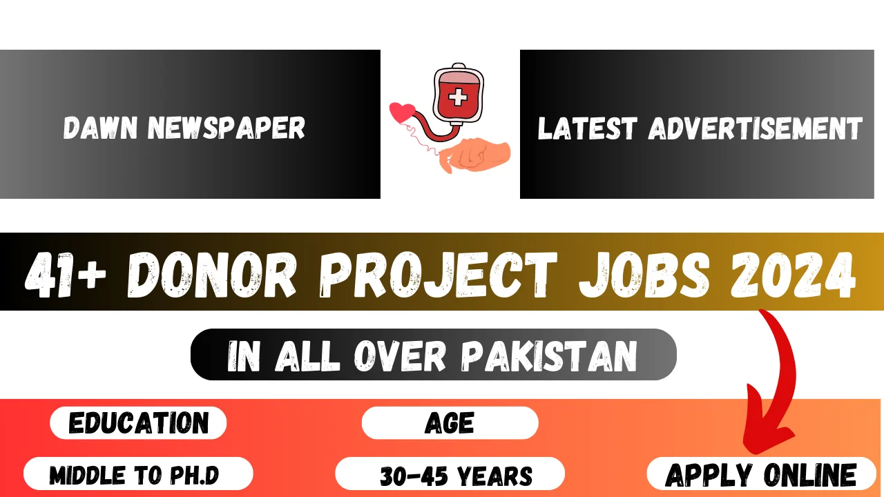 41 Donor Funded Project Jobs 2024