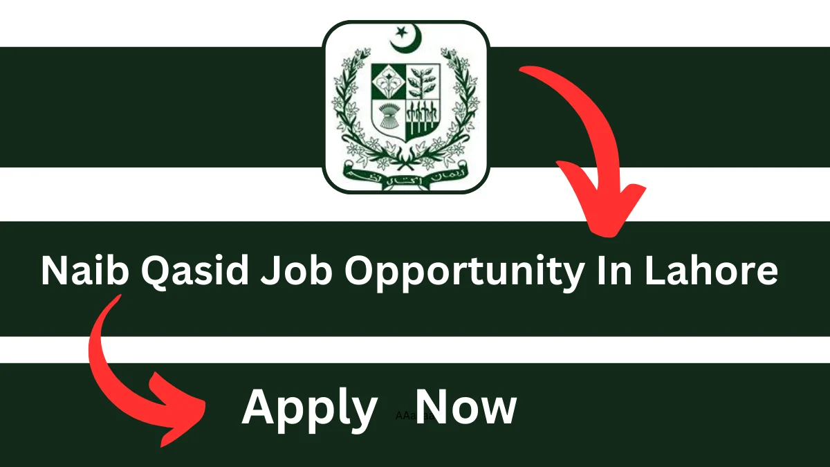 Naib Qasid Job Opportunity In Lahore