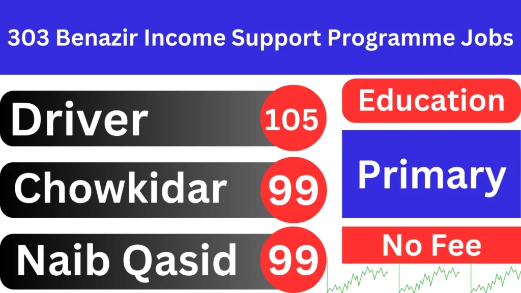 303 Benazir Income Support Programme (BISP) Jobs 2024