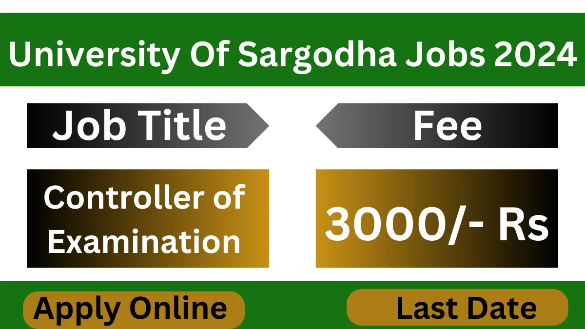 University Of Sargodha Jobs 2024